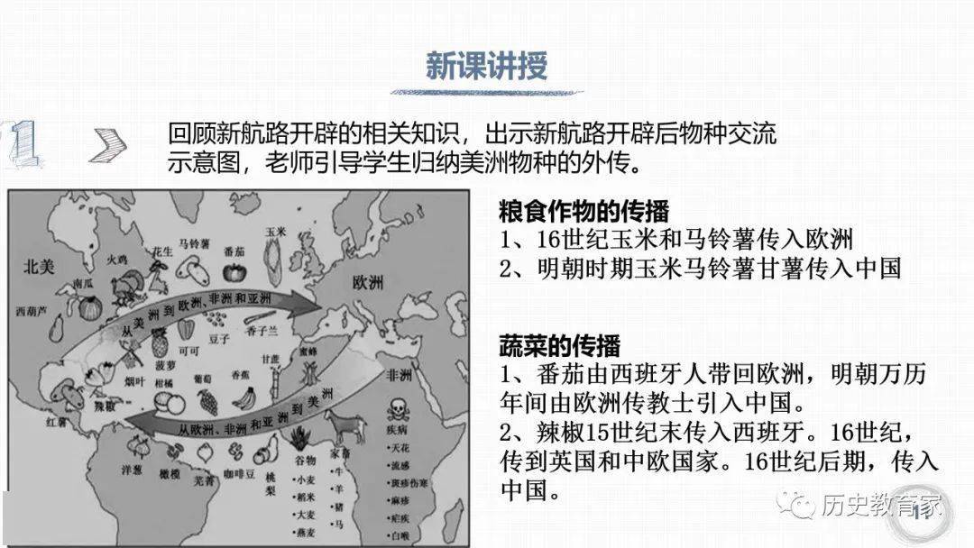 新航路開闢後的食物