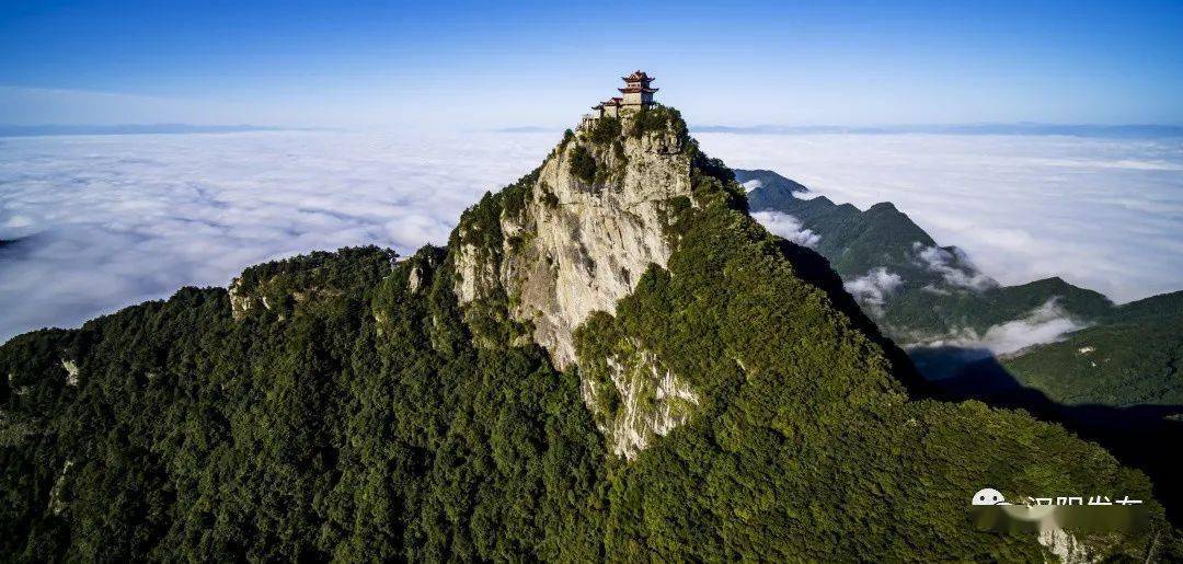 熱點漢陰油菜花旅遊季出行攻略