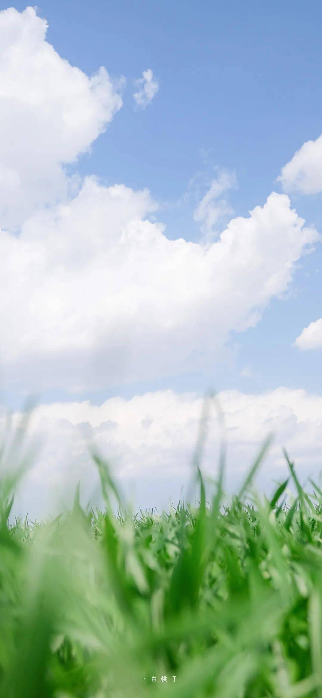 天空壁纸有人会和你说世间平淡