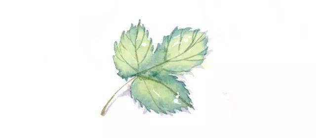 雨纷纷旧故里草木深是什么歌 烟花易冷歌曲介绍 走红网