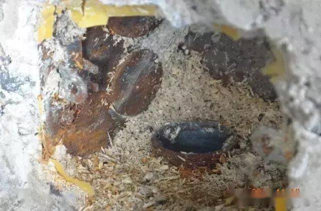 建筑水电预留预埋阶段工程质量通病及正确安装规范