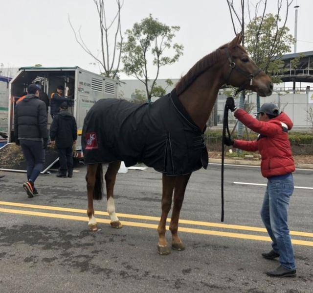 赛马娘手游玩法是什么 76821c15cf5d42559463e6da352bff82.jpeg