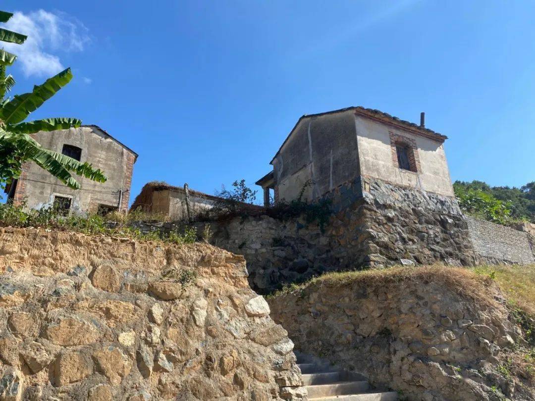 庆三八特辑太暖了上迳镇组织开展巾帼心向党奋斗新征程女神节系列活动