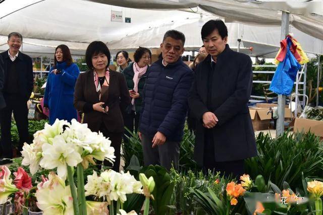 中國花卉協會秘書長一行調研浦東新區祝橋鎮花卉業發展動態