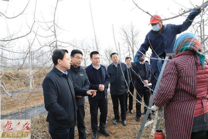 陕西省商南县赵川镇人口数_赵川镇各村地图(2)