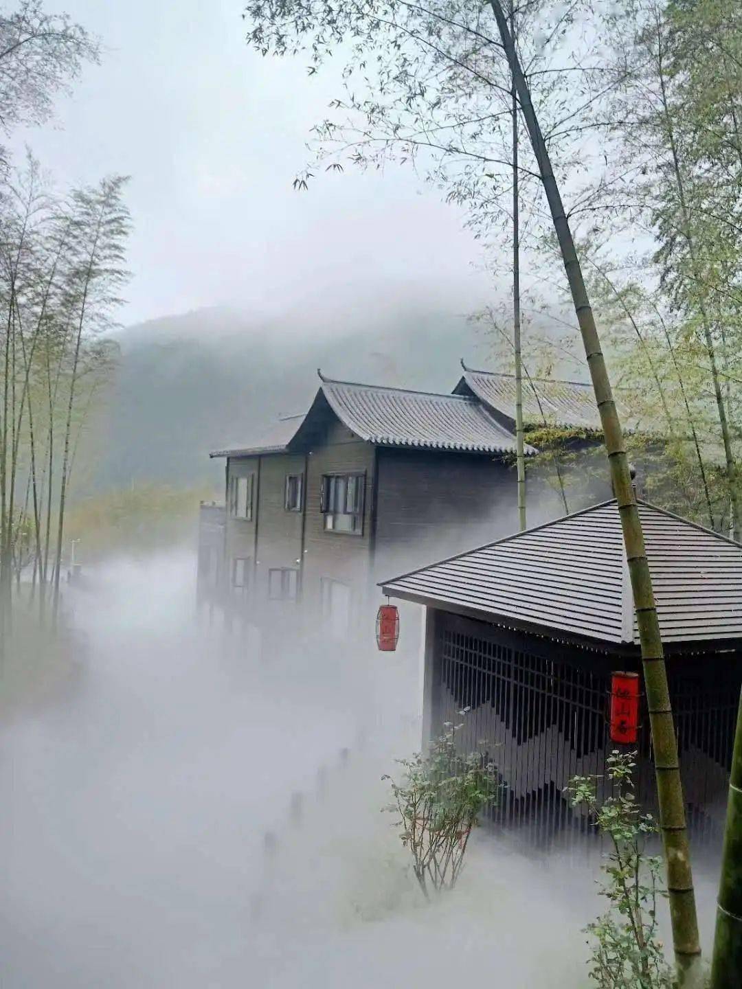 坐落于青葱竹林中的古典木屋,典雅别致,在林中若隐若现,仿佛仙境一般.