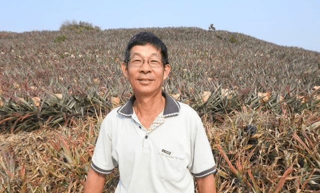 台湾农民痛斥凤梨王子乱讲话破坏两岸农贸互信