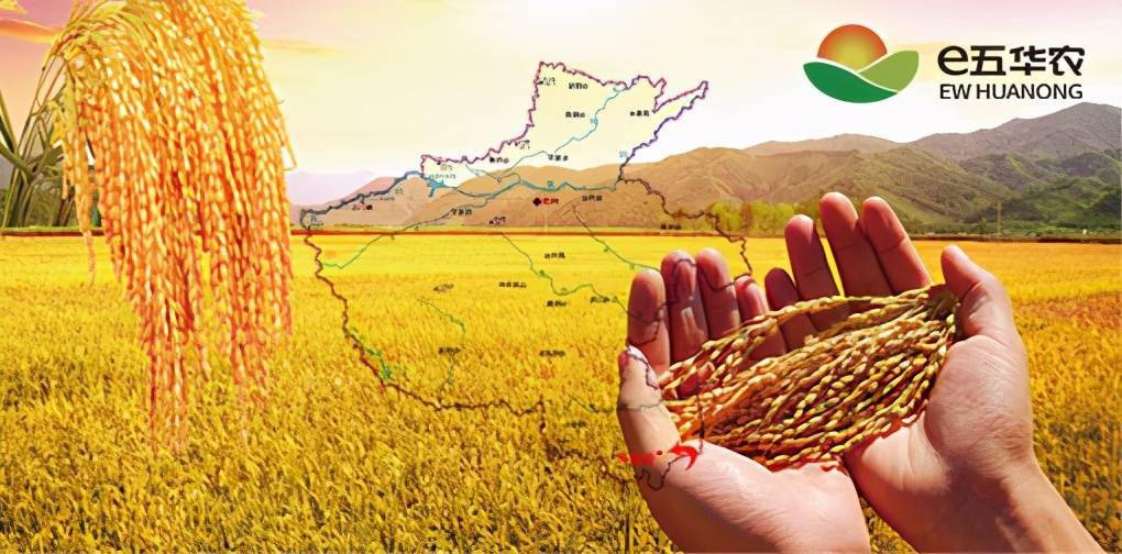 用一家企业暖一座城信阳这个老板 牛 大米