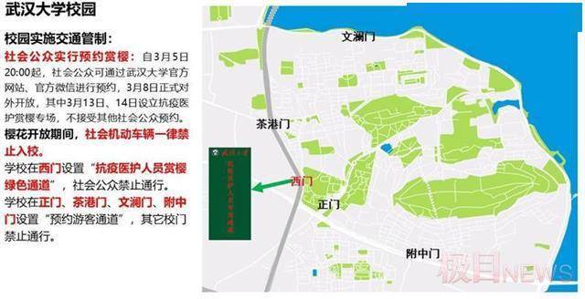武汉赏花交通将迎来首个高峰，这些道路实施临时管理措施