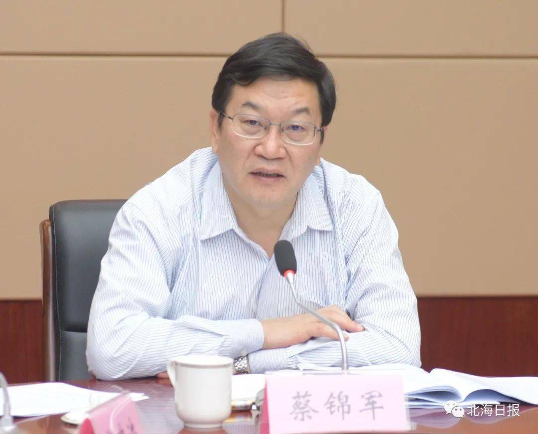 蔡锦军廖立勇对北海市生态环境突出问题整改工作进行再部署