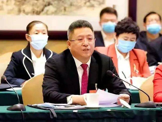 人民网全国两会专访全国人大代表吉林白城市市长李明伟打造碳汇白城