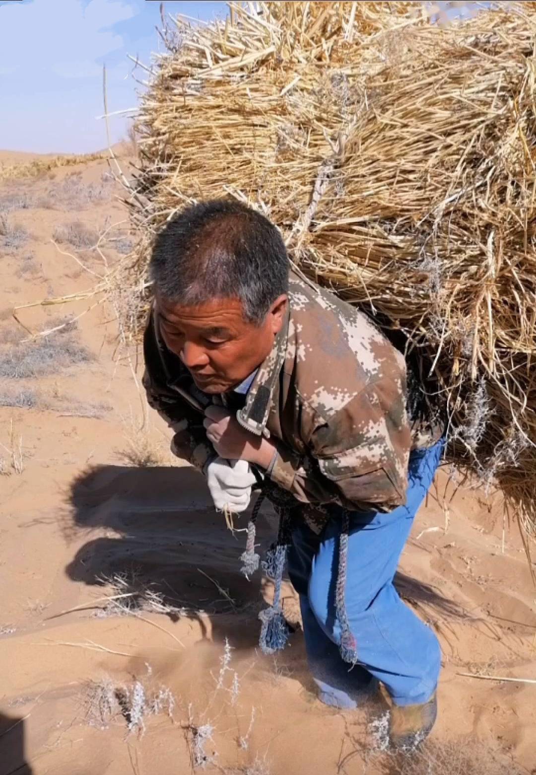 治沙"愚公:腾格里沙漠安家,22年植树造林8300亩_银吉