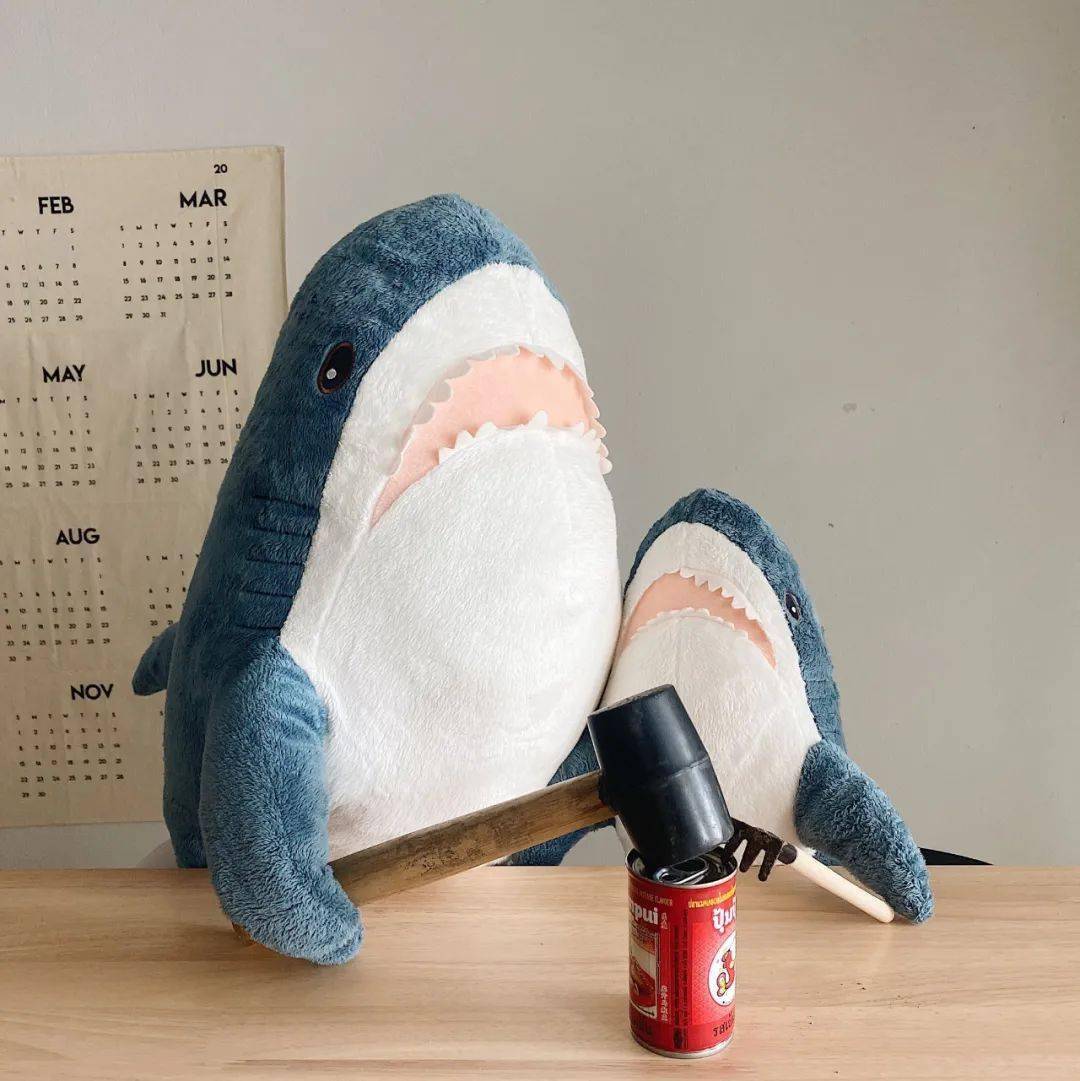 宜家小鲨鱼再次爆红单亲鲨鱼妈妈的日常太有爱了