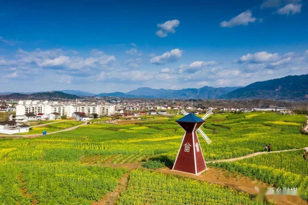 陕西汉中主会场灵秀茶乡.魅力西乡_西乡县