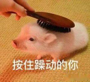 功能|微信更新又上热搜！网友：上班划水专用？