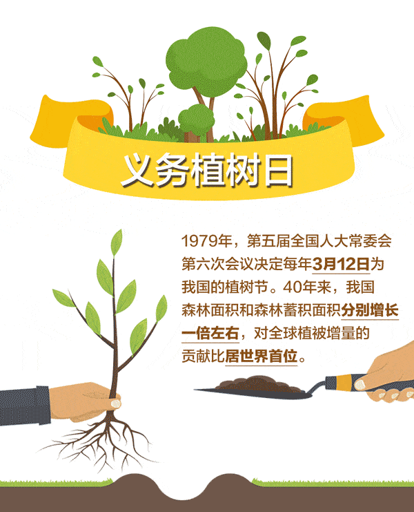 植树节让我们一起拥抱春天