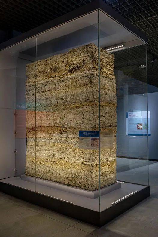 弘明带你英文看展——辽西地层