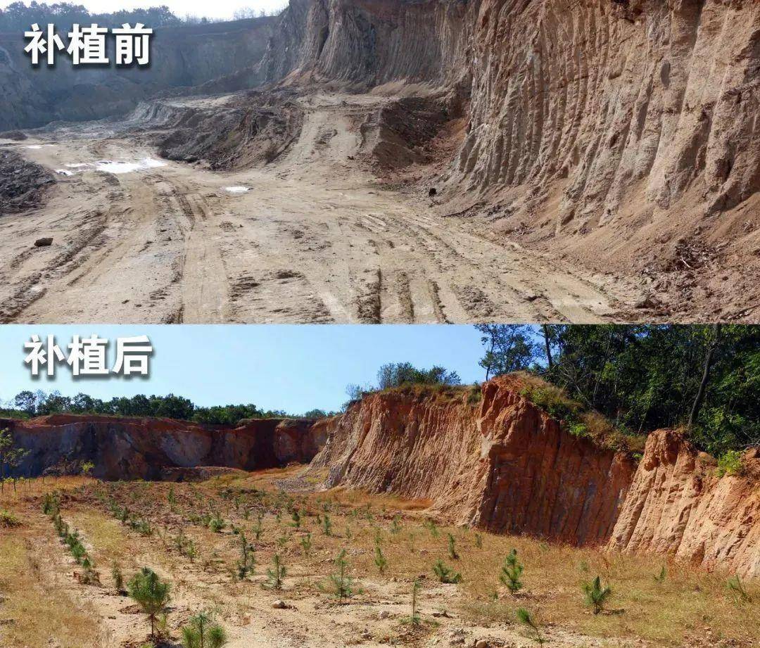 补植前后对比环境保护,人人有责.