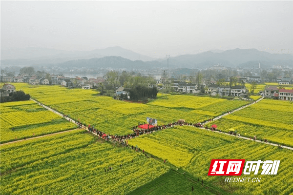 桃江三堂街镇举办第二届花海风筝节