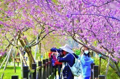 申城3月10日已入春 今最高温22℃明直降9℃