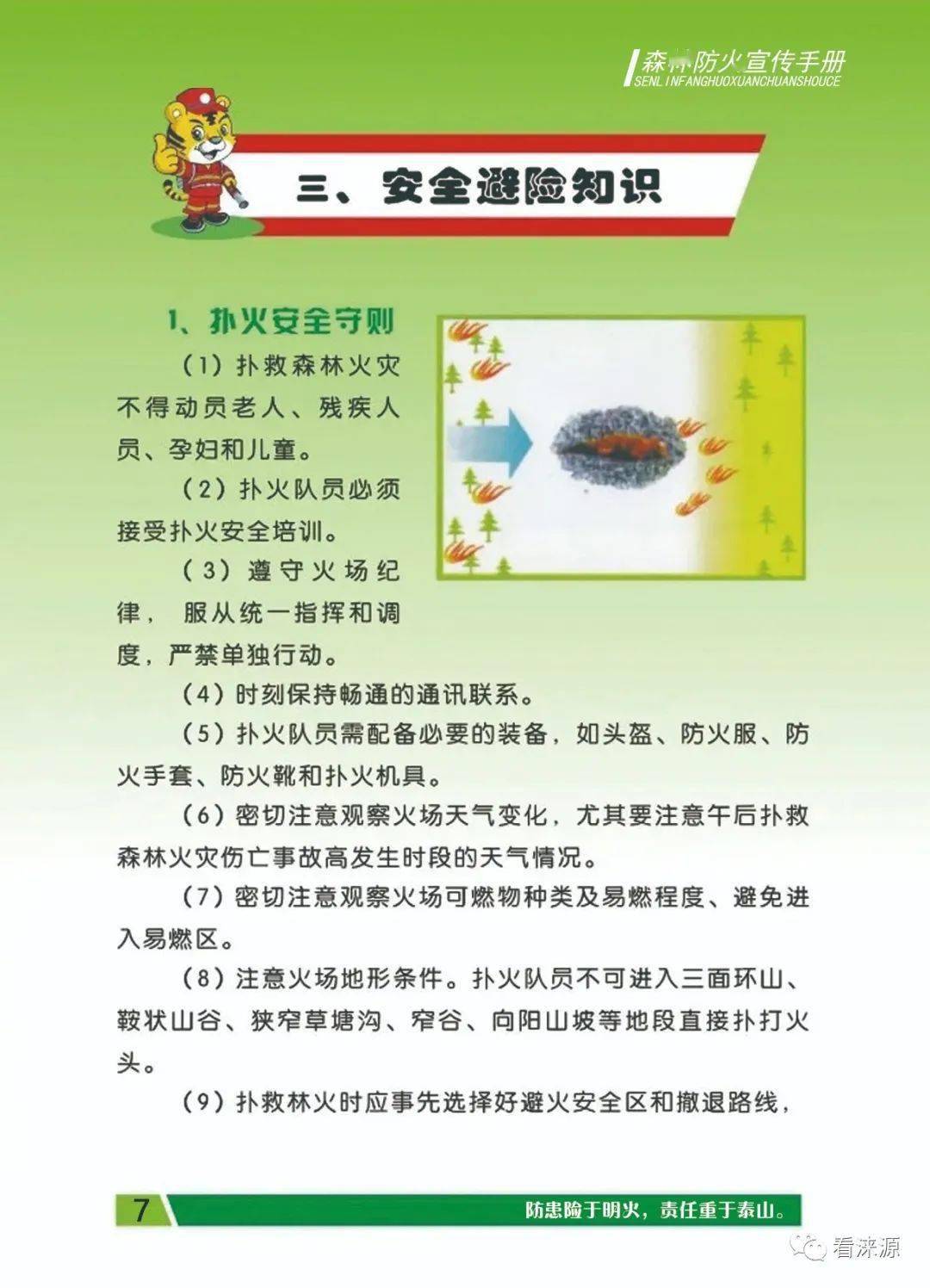 涞源森林防火宣传手册