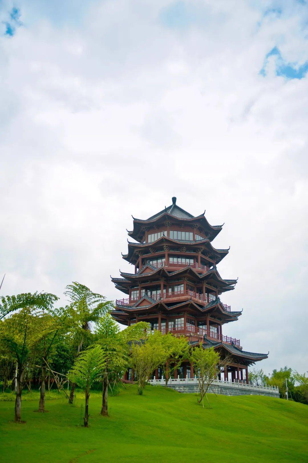 園博園花期預告|紫藤花即將綻放,帶您一起暢遊園博園!_桂林