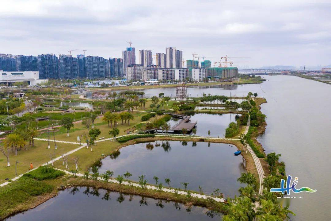生态栈道,瞭望塔,观鸟亭……静水流深,沧笙踏歌,公园毗邻金湾区图书馆