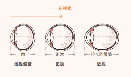 幼儿育儿经验心得体会_幼儿育儿经验心得体会_幼儿育儿经验心得体会