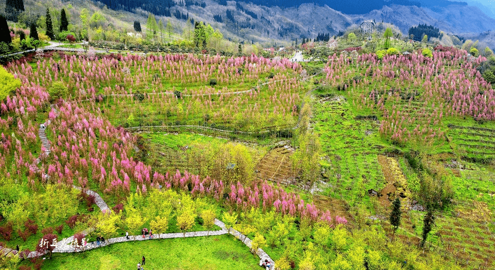 虹口花谷门票免费送,一起去龙池妖艳er,赏花吃美食泡温泉~_都江堰