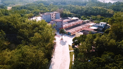 大槐镇有条越南村村内保留很多越南风俗习惯极具侨民特色