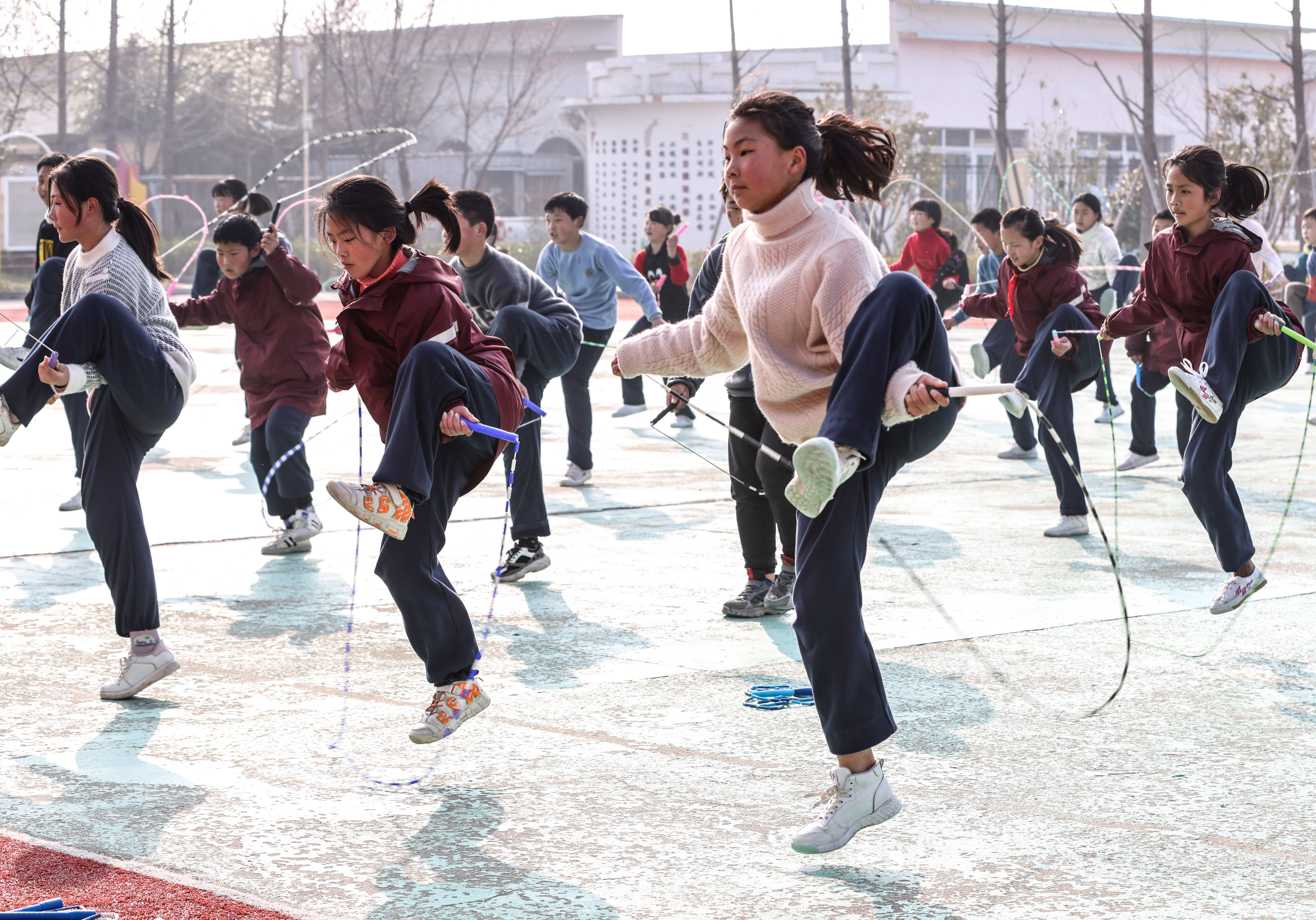 小学体育课教案下载_教案体育课小学下载什么软件_小学体育课教案免费下载