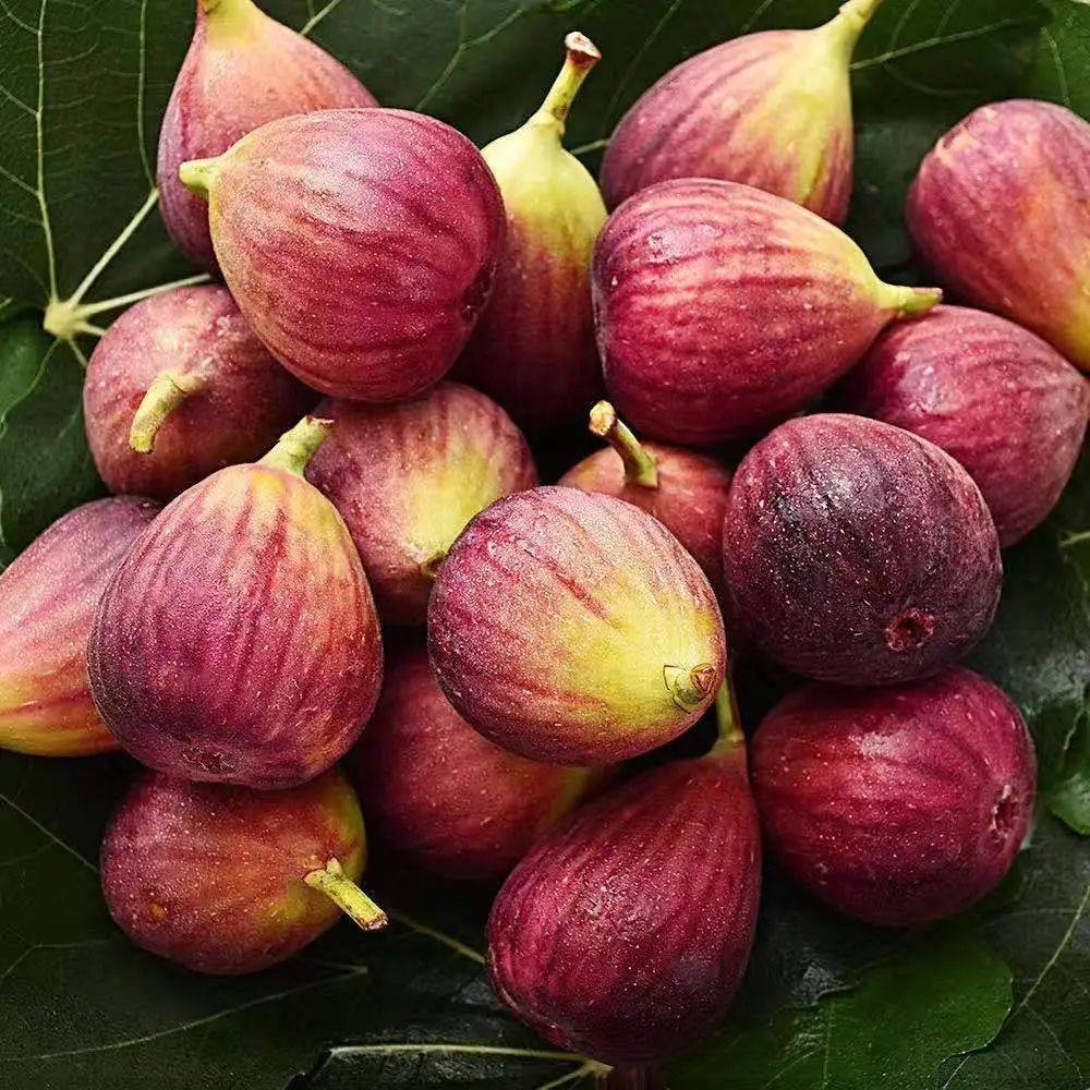 不靠拼多多元谋也能实现水果自由