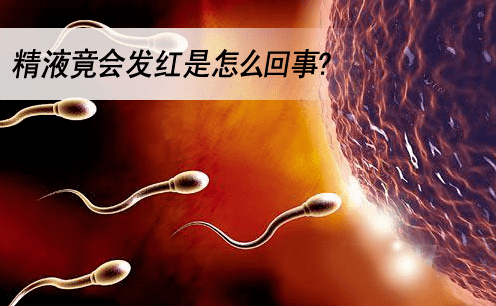 出现血精 还有救吗 检查 出现血精 还有救吗 检查