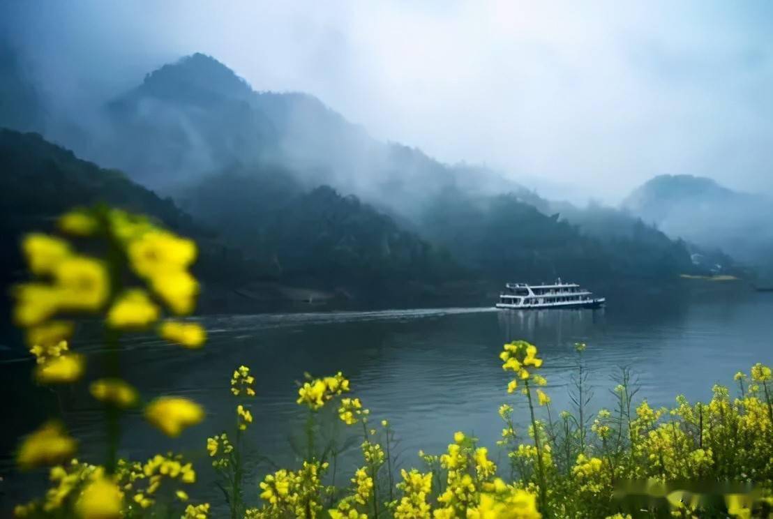 風景怡人連日來,隨著氣溫升高,歙縣新安江山水畫廊江兩岸的油菜花進入