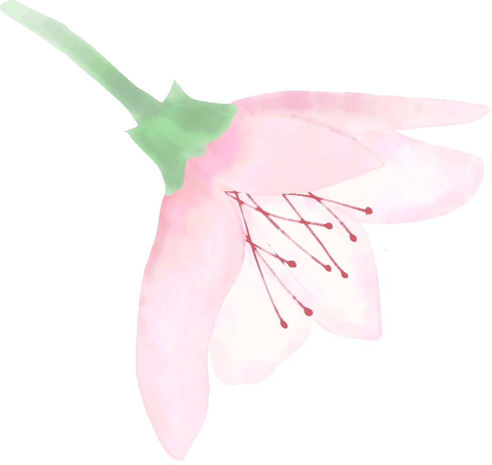 实验小学举行 爱心义买义卖 活动 顾客