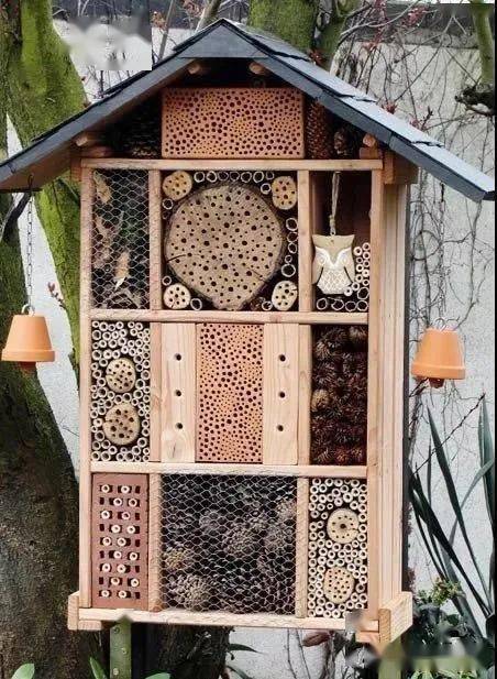 跟着这些创意学做幼儿园昆虫旅馆布置让浓缩的大自然活起来设计分享