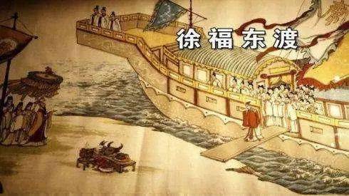 那个蛋蛋掉在酒杯里曲谱