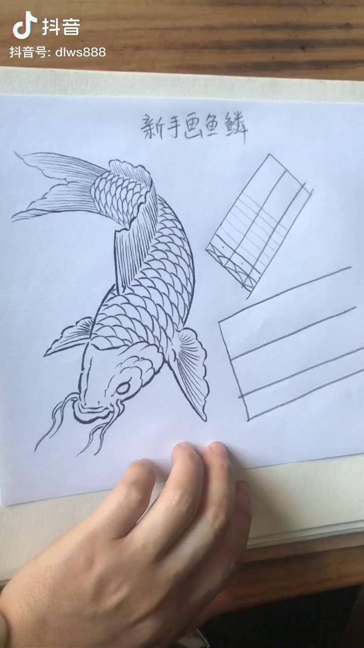 教新手画鱼鳞方法下节课讲立体的鱼鳞画法纹身师在哪都要好好过年学