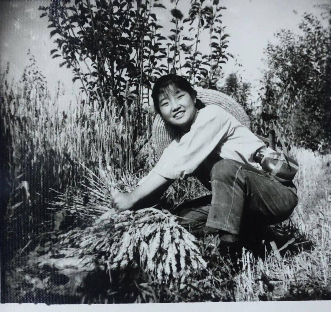 她是1977年6月与我一同下乡的知青朋友,照片拍摄于青海省民和县松树