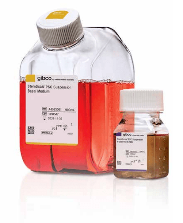 多能干细胞面临发展机遇悬浮培养系统为大规模生产带来