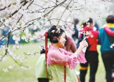 因樱花季成旅游热门目的地 武汉文旅市场迎来“开门红”