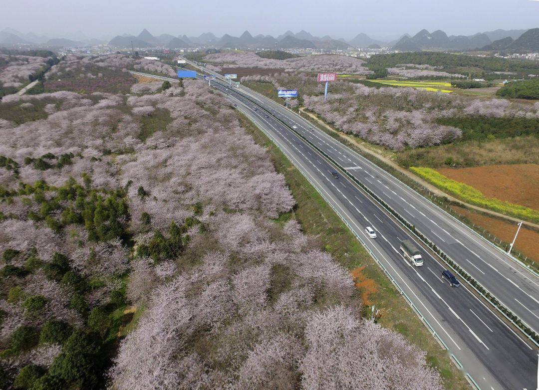 河北2021年人口_2021年河北车辆限行