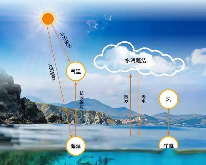 都离不开海洋的贡献 海洋 对大气运动和气候变化 海-气