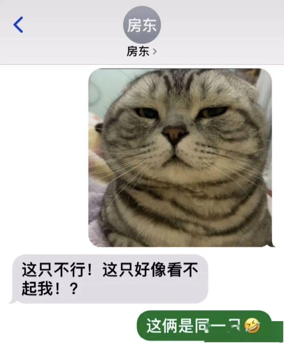 5149e64870c548648d0a7e8146ff24d1.jpeg