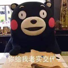 96ff8d5038ee45c6afcafd34e8a3bfee.jpeg