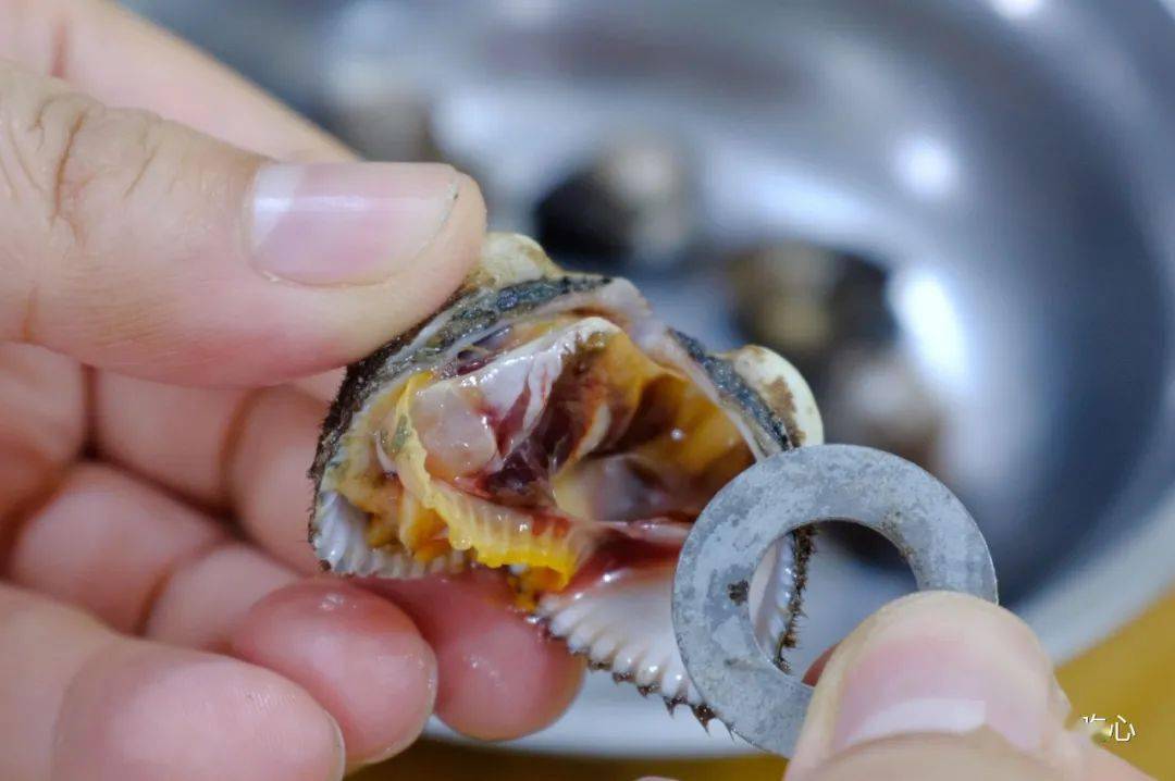 有血蚶和毛蚶的宵夜当得起一个猛字