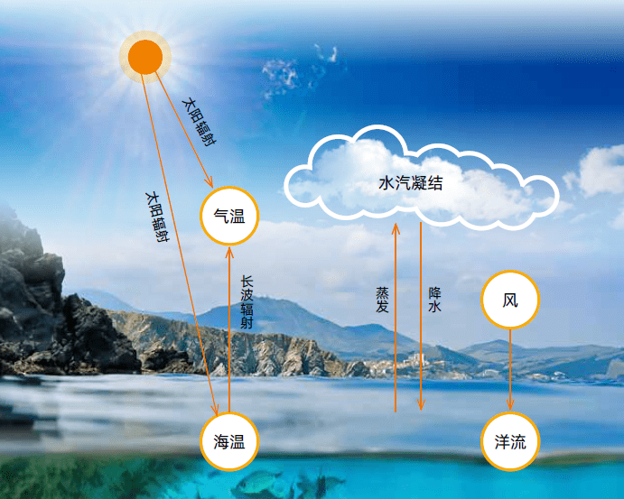 影响|涨知识！海洋是这样影响天气和气候的