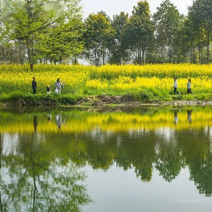 彭州市丽春镇飞天湖图片