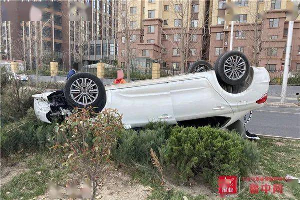 淄博发生一惨烈车祸图片