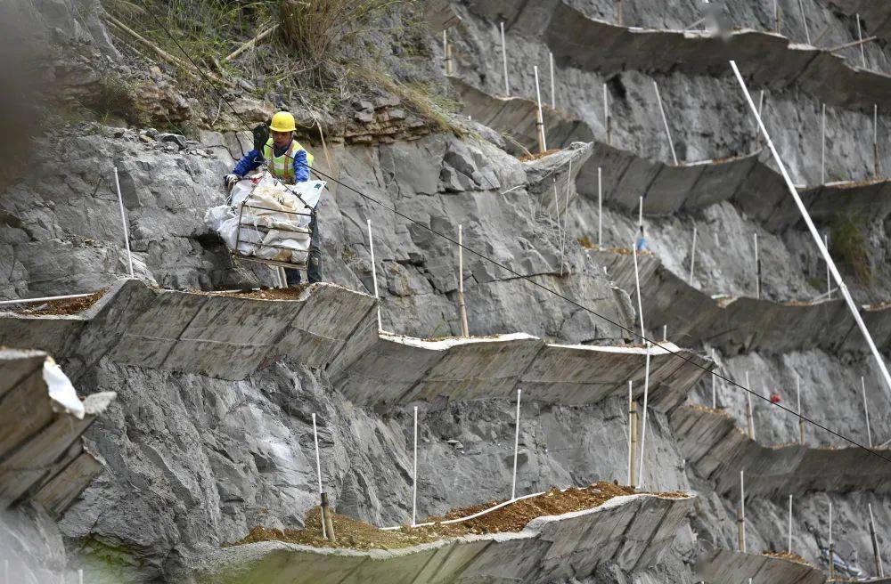 3月22日,在广西柳州市楼梯山山体复绿工程施工现场,工人把树苗转运